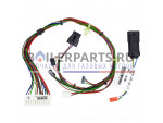 купить Жгут проводов для котлов Vaillant 0020133899