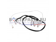 купить Блок электродов в сборе (розжиг/ионизация) для котлов Alpenhoff Baden 15199032 с доставкой