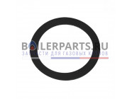 купить Прокладка (1 шт) для котлов Protherm 0020015107 с доставкой