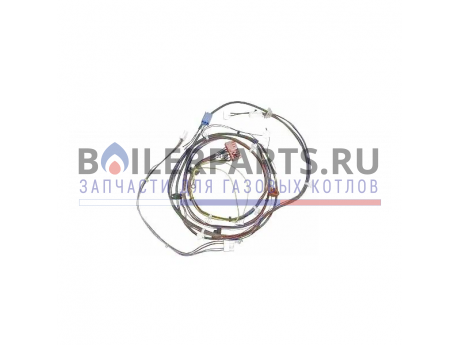 купить Жгут проводов для котлов Vaillant 0020041939 - цена с доставкой