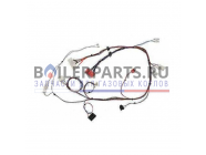 купить Жгут проводов для котлов Vaillant 0020086374 с доставкой