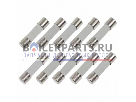Предохранитель FST 6,3H (10 штук) для котлов Vaillant 0020112051 фото купить Предохранитель FST 6,3H (10 штук) для котлов Vaillant 0020112051 - цена с доставкой