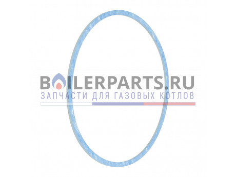 купить Уплотнение 106x114x2 мм для котлов Buderus 05238620 Турция - цена с доставкой