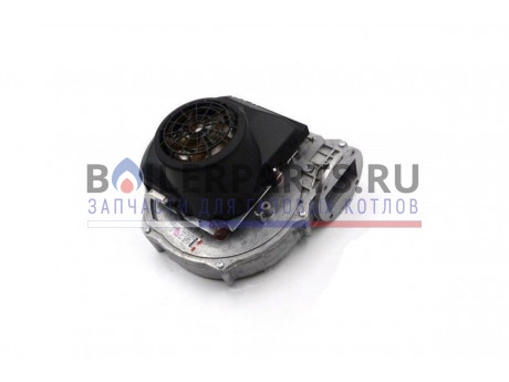 купить Вентилятор для котлов Immergas Victrix 75 1.023299 - цена с доставкой