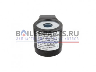 Купить Электромагнитная катушка Brahma BE6*GMO 18811007 - цены