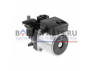 купить Насос циркуляционный Grundfos для котлов Thermex Orso/Grizzly 900887 с доставкой