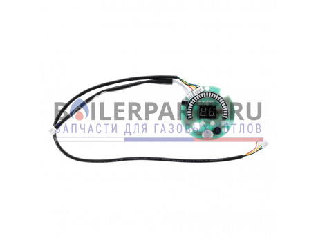 Панель управления с дисплеем MS (9-10) v0 для котлов Thermex 900961 фото купить Панель управления с дисплеем MS (9-10) v0 для котлов Thermex 900961 - цена с доставкой