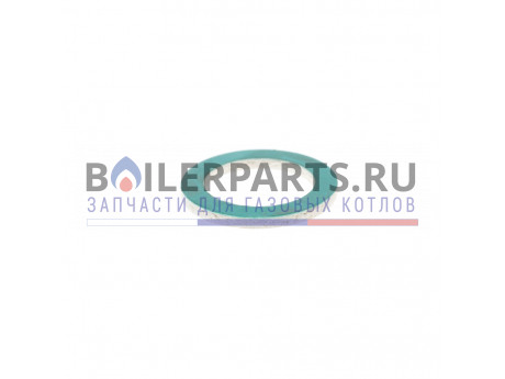 купить Прокладка датчика контроля воды 3/4 для котлов Thermex Orso/Grizzly 904138 - цена с доставкой