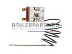 Термостат 65°C для котлов Thermex Clever 7 904554 купить Термостат 65°C для котлов Thermex Clever 7 904554