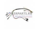 купить Микропереключатель с проводкой для газовой колонки Ariston 60001174 недорого