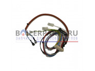 купить Проводка электрическая низковольтная для котлов Baxi 710794800 с доставкой