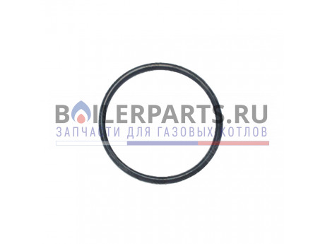 О-образное кольцо для котлов Vaillant 982310 фото купить О-образное кольцо для котлов Vaillant 982310 - цена с доставкой