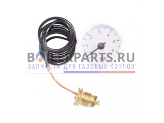 Купить Манометр 6 бар для котлов Ariston Genus Evo HP 60002223 - цены