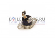 купить Термостат BBSC для котлов Mora top DR5541903 с доставкой