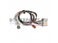 купить Жгут проводов для котлов Protherm 0020014404 с доставкой