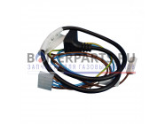 купить Жгут проводов для котлов Protherm 0020027600 с доставкой