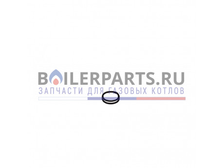 Включающий диск MPMV3310 для котлов Protherm 0020033360 фото купить Включающий диск MPMV3310 для котлов Protherm 0020033360 - цена с доставкой