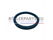 купить Прокладка для котлов Protherm 0020033950 с доставкой
