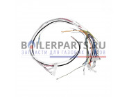 купить Жгут проводов для котлов Protherm 0020034011 с доставкой