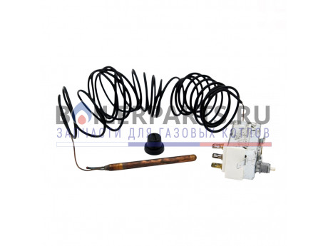 Ограничительный термостат для котлов Protherm 0020034756 фото купить Ограничительный термостат для котлов Protherm 0020034756 - цена с доставкой
