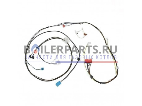 Жгут проводов E103 для котлов Protherm 0020034826 фото купить Жгут проводов E103 для котлов Protherm 0020034826 - цена с доставкой