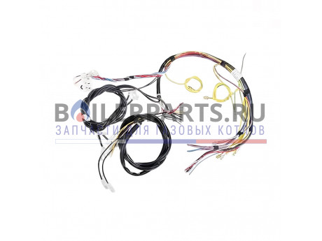 купить Жгут проводов для котлов Protherm 0020035095 - цена с доставкой