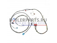 купить Жгут проводов для котлов Protherm 0020035545 с доставкой
