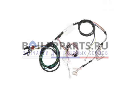 купить Жгут проводов для котлов Protherm 23BTVEUK 0020035564 - цена с доставкой