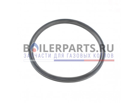 купить Прокладка теплообменник/дымоход для котлов Protherm 0020038076  - цена с доставкой