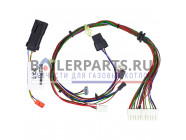 купить Жгут проводов для котлов Vaillant 0020078405 с доставкой