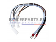 купить Жгут проводов для котлов Protherm 0020094672 с доставкой