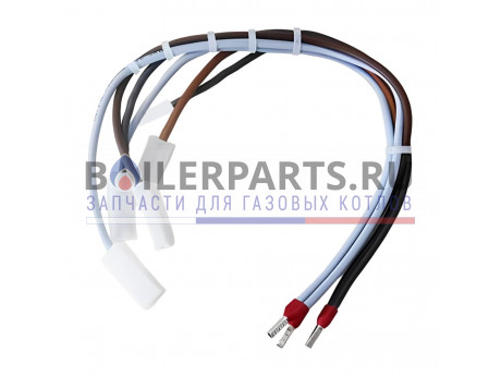 купить Жгут проводов для котлов Protherm 0020094672 - цена с доставкой
