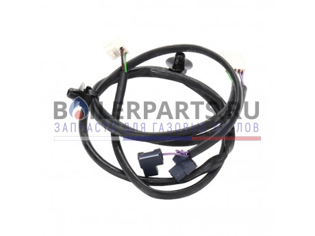 купить Жгут проводов для котлов Protherm 0020095626 - цена с доставкой