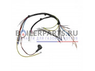 купить Жгут проводов для котлов Protherm 0020154089 с доставкой