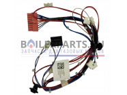 купить Жгут проводов для котлов Protherm 0020211642 с доставкой