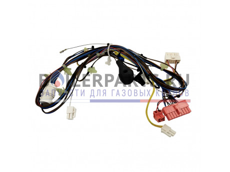 Жгут проводов для котлов Protherm Пантера (H-RU) R1 25-30 кВт (атмо) 0020255751 фото купить Жгут проводов для котлов Protherm Пантера (H-RU) R1 25-30 кВт (атмо) 0020255751 - цена с доставкой