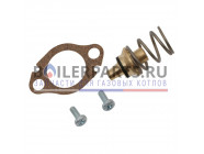 купить Клапан контроля по нехватке воды (MAG 14-0/0 (G20-G25) для котлов Vaillant 115324 с доставкой