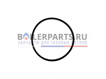 Купить Уплотнение кольцевое 159,5х7 для котлов Baxi 3400790 - цены
