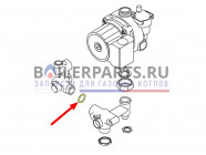 купить Торообразная прокладка 2.62X18.72 116 для котлов Alphatherm 6ORRASCP00 с доставкой