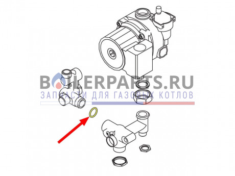 Торообразная прокладка 2.62X18.72 116 для котлов Alphatherm 6ORRASCP00 фото купить Торообразная прокладка 2.62X18.72 116 для котлов Alphatherm 6ORRASCP00 - цена с доставкой