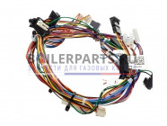 купить Жгут проводов для котлов Bosch/Buderus 87376009600 с доставкой